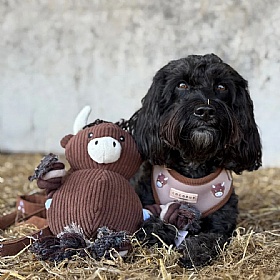 Harold the Highland Cow Squeaky Dog Toy