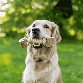 Quapas Coffee Wood Twist Tug Rope and Chew Dog Toy