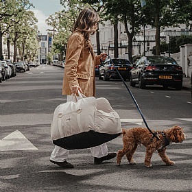 The Puffer Dog Car Seat and Carrier