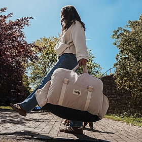 The Puffer Dog Car Seat and Carrier