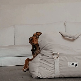 The Puffer Dog Car Seat and Carrier