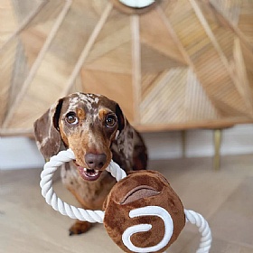 Cinnamon Bun Squeaky Dog Tug Toy