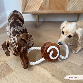 Cinnamon Bun Squeaky Dog Tug Toy
