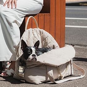 Fuzzyard Dog Carrier and Car Seat