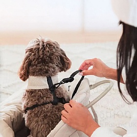 Fuzzyard Dog Carrier and Car Seat