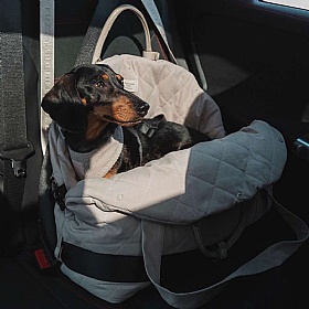 Fuzzyard Dog Carrier and Car Seat