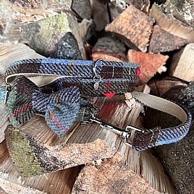 MacLeod Tartan Harris Tweed Bow Tie Dog Collar