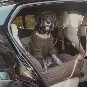 The XL Cosy Dog Car Seat