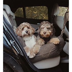 The XL Cosy Dog Car Seat