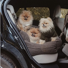 The XL Cosy Dog Car Seat
