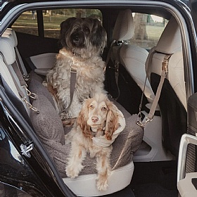 The XL Cosy Dog Car Seat