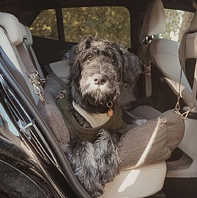 The XL Cosy Dog Car Seat