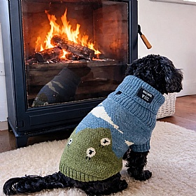 Blackface Sheep British Wool Dog Jumper