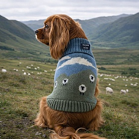 Blackface Sheep British Wool Dog Jumper