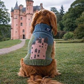Craigievar Pink Castle British Wool Dog Jumper
