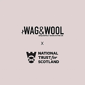 Craigievar Pink Castle British Wool Dog Jumper