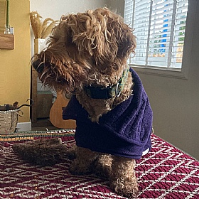 Ruff and Tumble Classic Dog Drying Coats