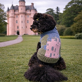 Craigievar Pink Castle British Wool Dog Jumper