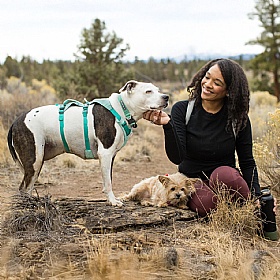 Ruffwear Hi & Light Dog Collar