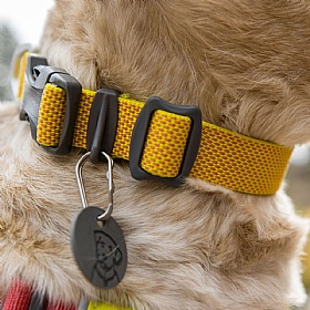 Ruffwear Hi & Light Dog Collar