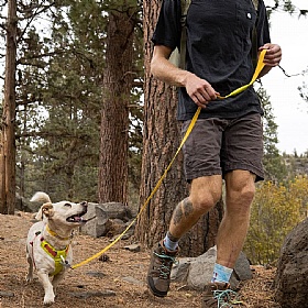 Ruffwear Hi & Light Clip Dog Lead
