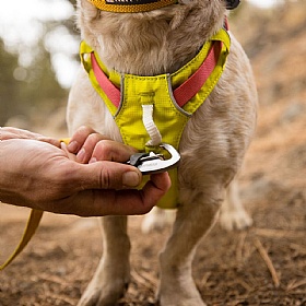 Ruffwear Hi & Light Dog Harness
