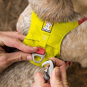 Ruffwear Hi & Light Dog Harness