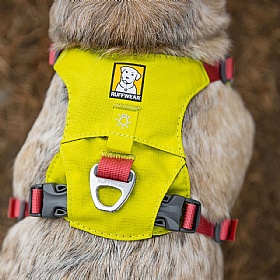 Ruffwear Hi & Light Dog Harness