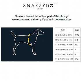 Ruffwear Hi & Light Dog Harness