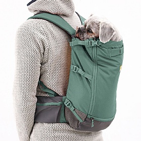 Ruffwear Hitch Hiker Dog Backpack Carrier