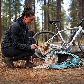Ruffwear Hitch Hiker Dog Backpack Carrier
