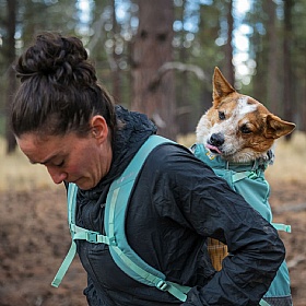 Ruffwear Hitch Hiker Dog Backpack Carrier