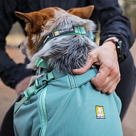 Ruffwear Hitch Hiker Dog Backpack Carrier