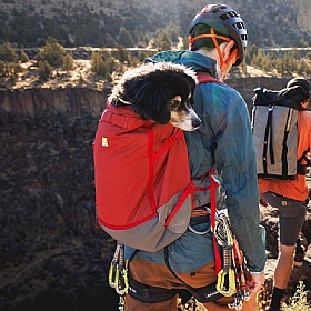 Ruffwear Hitch Hiker Dog Backpack Carrier