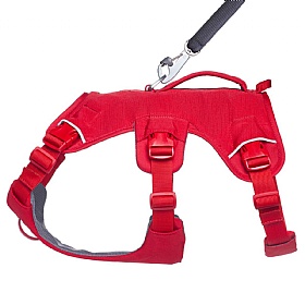 Ruffwear Web Master Dog Harness with Handle