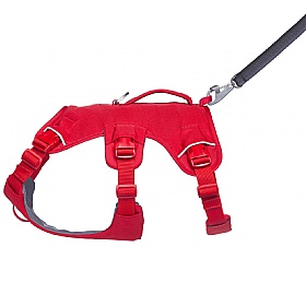 Ruffwear Web Master Dog Harness with Handle