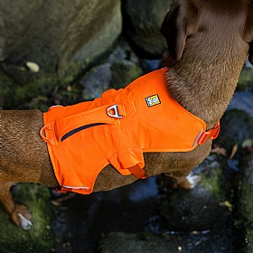 Ruffwear Web Master Dog Harness with Handle