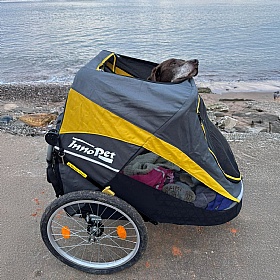 Hercules 2.0 XL Dog Pram with Free Raincover
