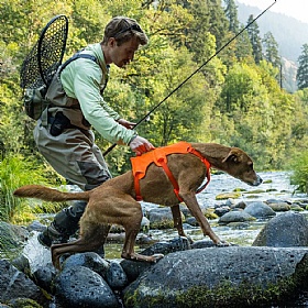 Ruffwear Web Master Dog Harness with Handle