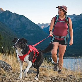 Ruffwear Web Master Dog Harness with Handle