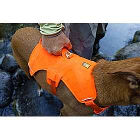 Ruffwear Web Master Dog Harness with Handle