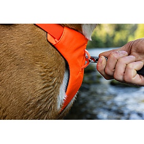 Ruffwear Web Master Dog Harness with Handle