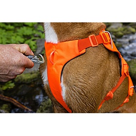 Ruffwear Web Master Dog Harness with Handle