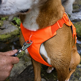 Ruffwear Web Master Dog Harness with Handle
