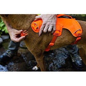 Ruffwear Web Master Dog Harness with Handle