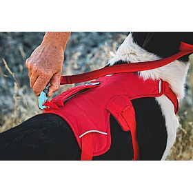 Ruffwear Web Master Dog Harness with Handle