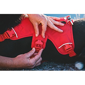 Ruffwear Web Master Dog Harness with Handle