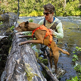 Ruffwear Web Master Dog Harness with Handle