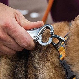 Ruffwear Roamer Bungee Dog Running Lead