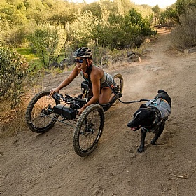 Ruffwear Roamer Bungee Dog Running Lead